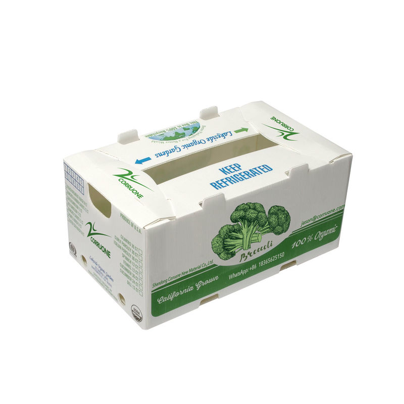 OEM Nhà máy sản xuất PP nhựa lồng hộp cho ngô ngọt tươi bông cải xanh quả trứng gừng hộp