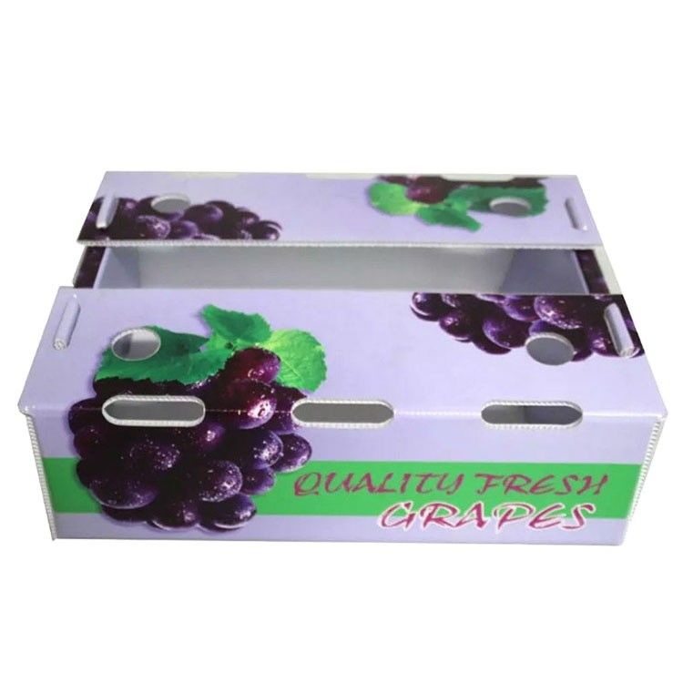 Hộp hoa quả đục cao hiệu suất cho bao bì công nghiệp nông nghiệp tối ưu