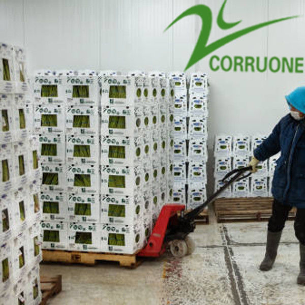 Hộp sóng trái cây màu đen Corriflute Hộp nhựa lưu trữ sóng