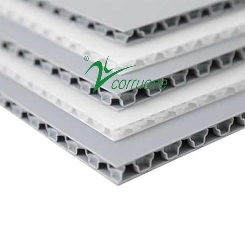 Corruone PP tường kép pp polypropylene tấm nhựa mật ong lõi tấm bảng l với cấu trúc tế bào