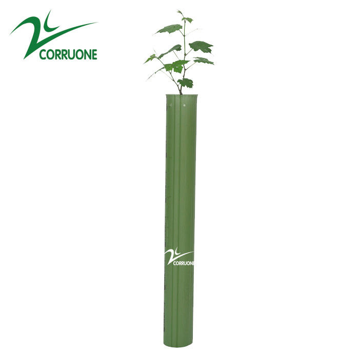 Bảo vệ cây bằng nhựa gốm được làm theo yêu cầu