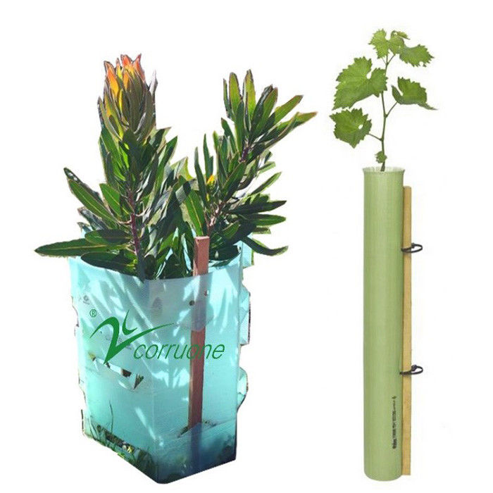 Corruone Polypropylene nhựa cuộn lốp lốp bảo vệ cây nhựa