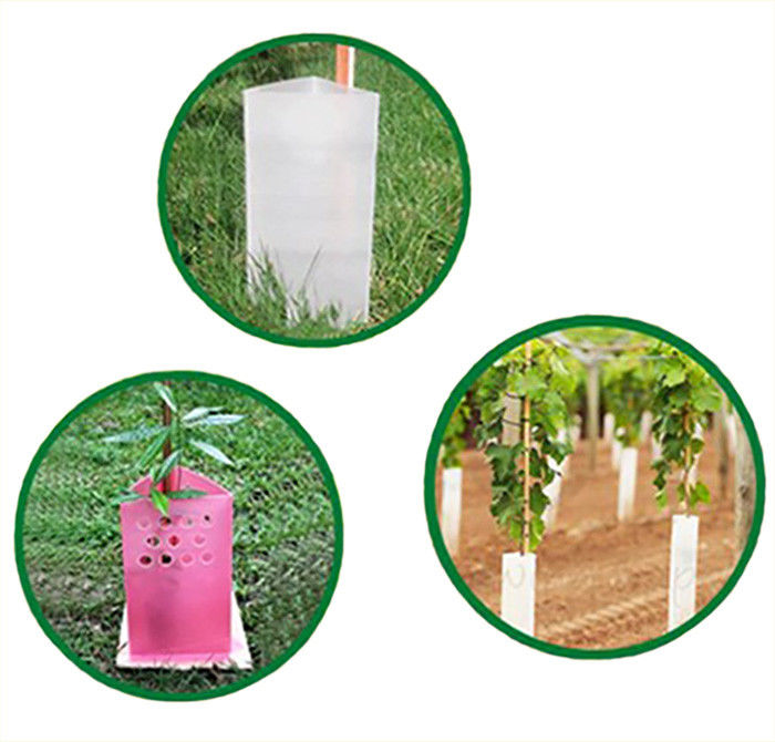 Corruone Polypropylene nhựa cuộn lốp lốp bảo vệ cây nhựa