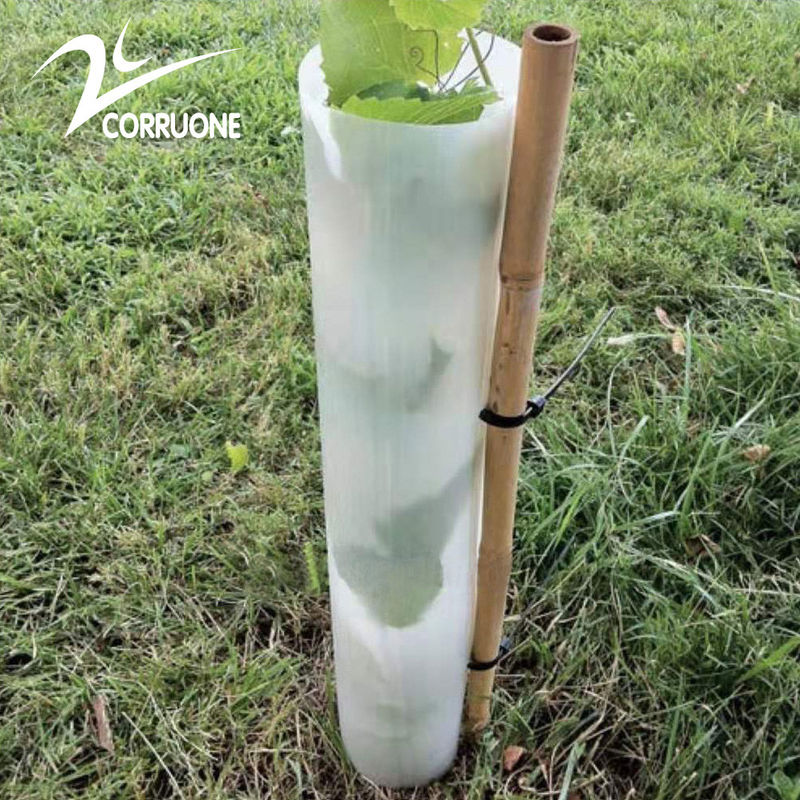Bụi cây nhựa đục màu xanh lá cây có thể tái chế để trồng bền vững
