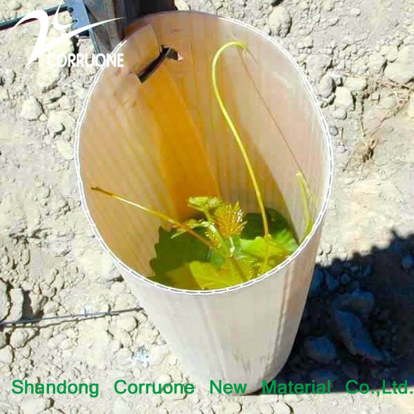 Bụi cây nhựa đục màu xanh lá cây có thể tái chế để trồng bền vững