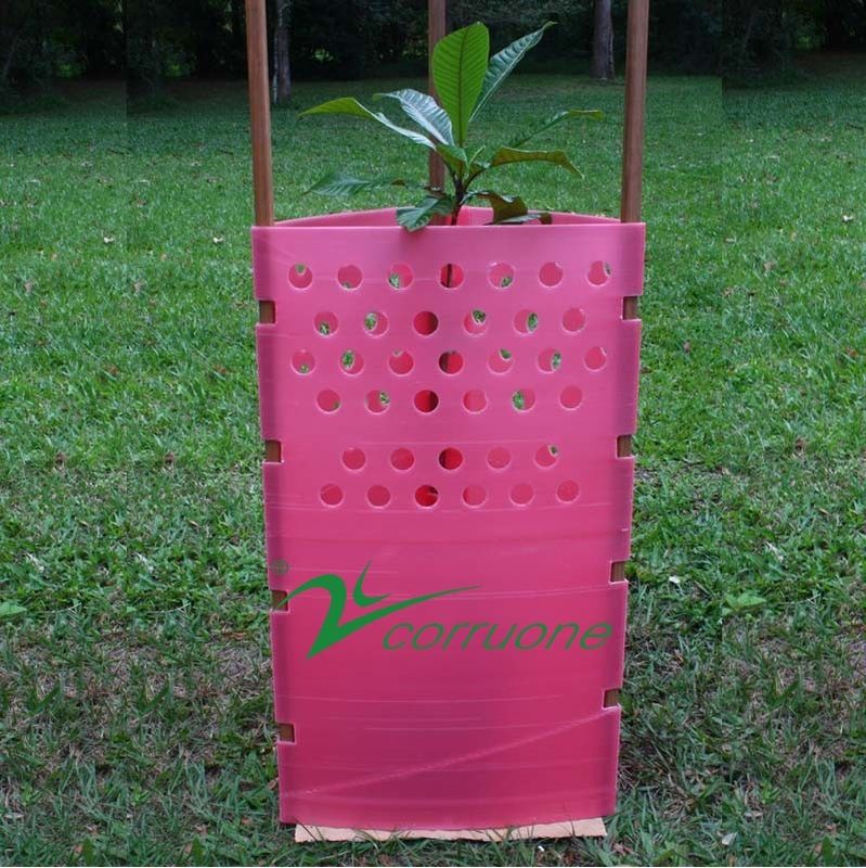 Tấm bảo vệ cây Corflute Plantra Ống bảo vệ cây gợn sóng PP