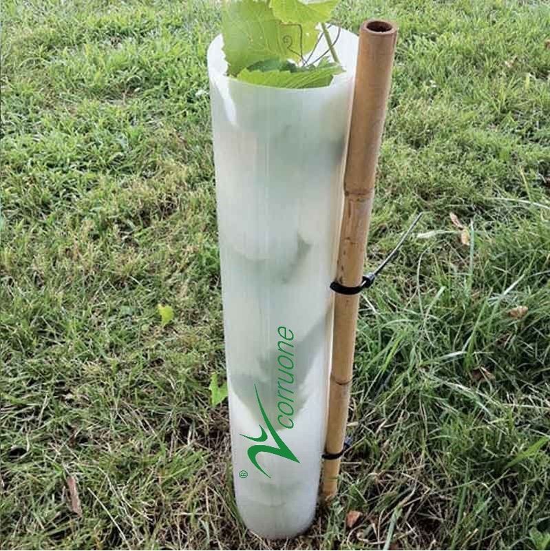 Eco PP Tấm nhựa bảo vệ cây Green Corflute Guards Chống nước