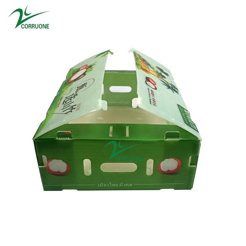 Bảng Coroplast nhẹ 2mm dày 24 