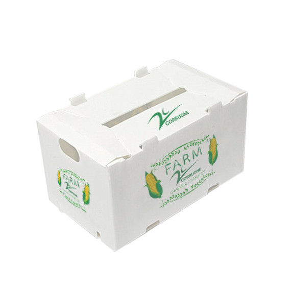 Corruone Không thấm nước Gập polypropylen nhựa lợp trái cây rau quả ếch ếch / Gừng / Taro / Okra Hộp đóng gói